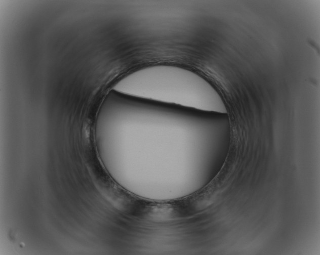 X0000091950214200709061046