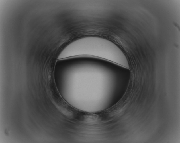 X0000091950215200709061046