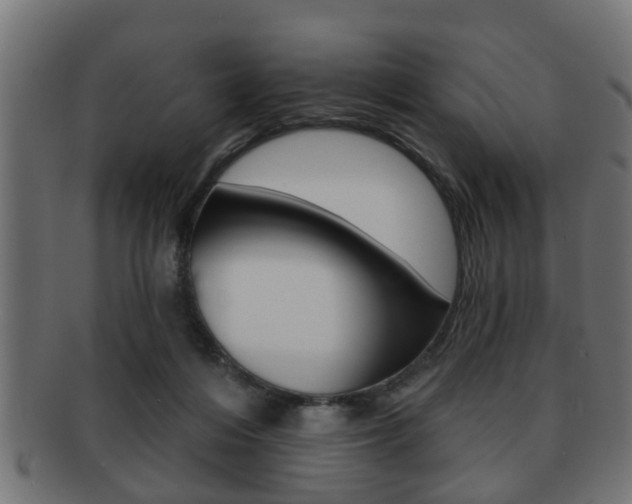 X0000091950216200709061046