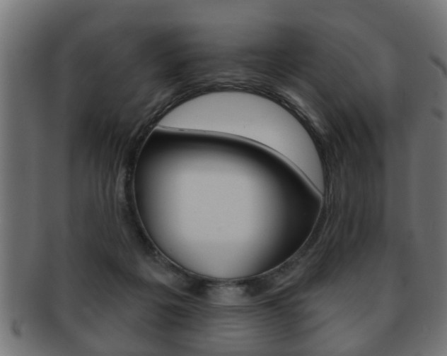 X0000091950217200709061046