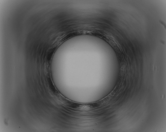 X0000091950218200709061046