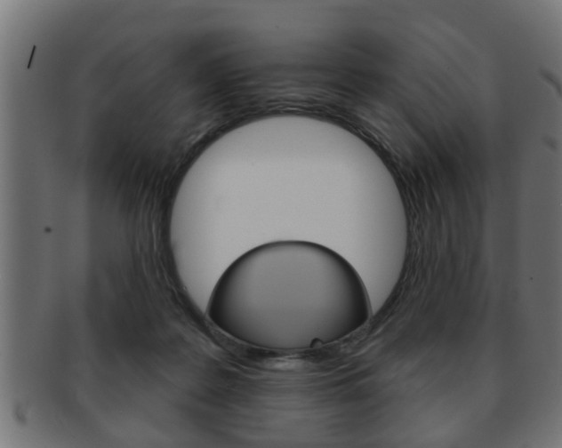 X0000091950219200709061046