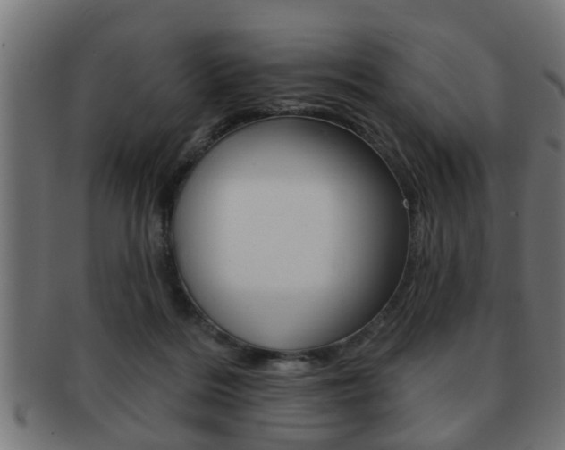X0000091950220200709061046