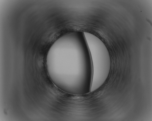 X0000091950221200709061046