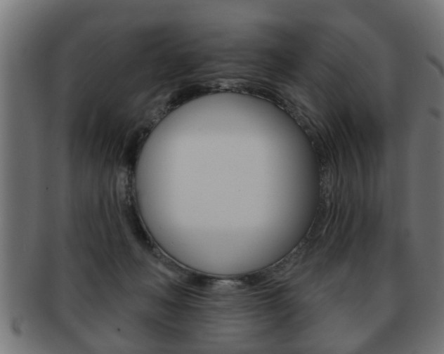 X0000091950222200709061046