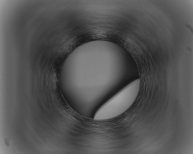 X0000091950223200709061046