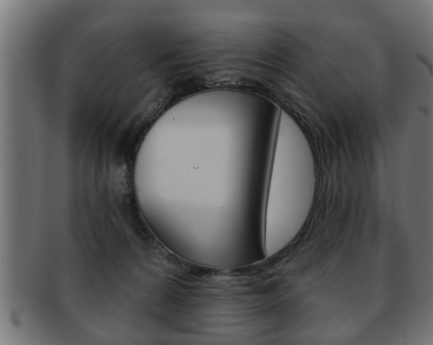 X0000091950224200709061046