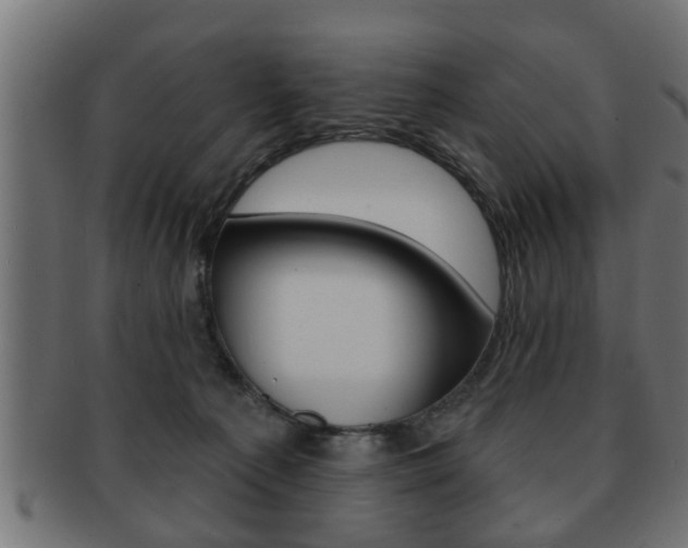 X0000091950225200709061046