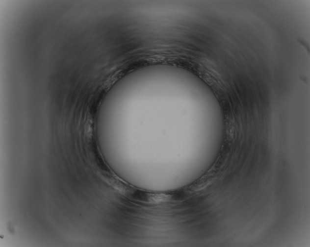 X0000091950226200709061046