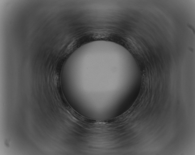 X0000091950227200709061046