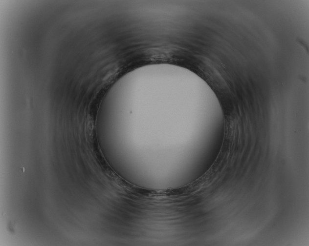 X0000091950228200709061046