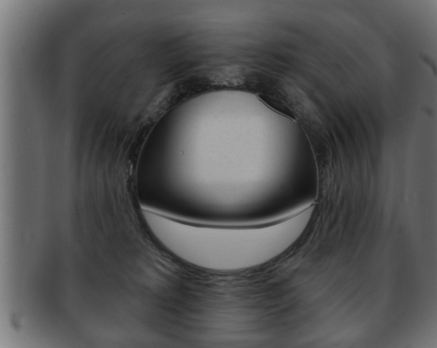 X0000091950229200709061046