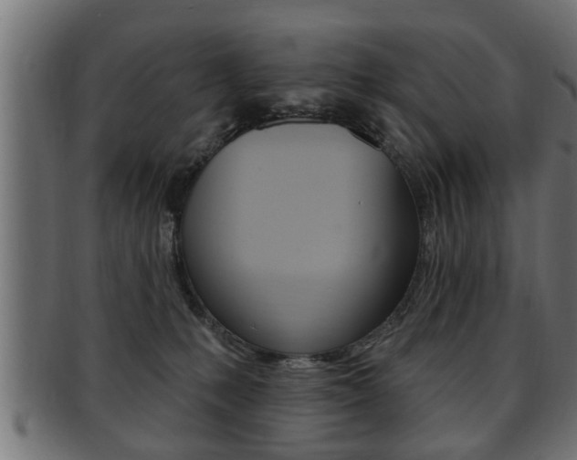 X0000091950231200709061046