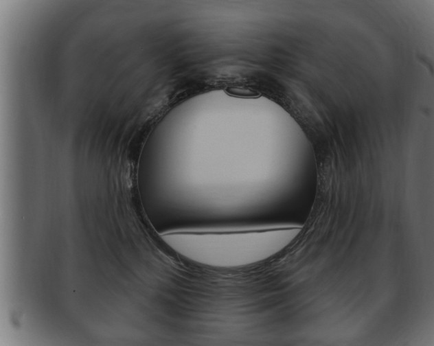 X0000091950232200709061046
