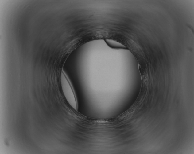 X0000091950233200709061046