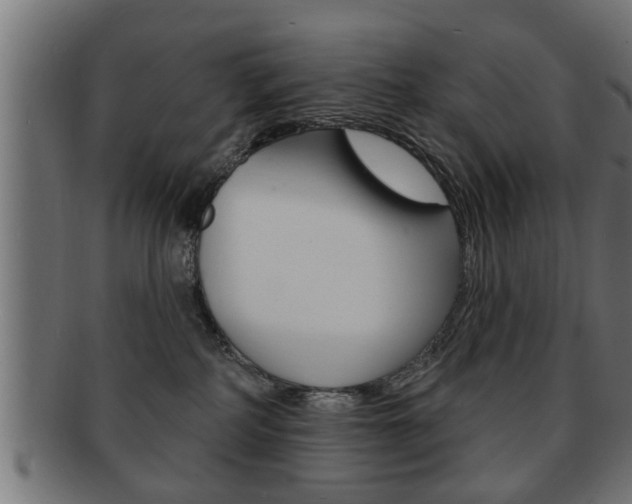 X0000091950234200709061046