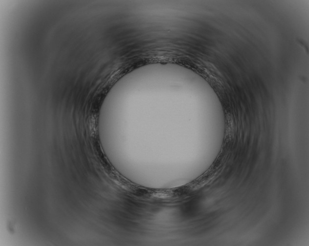 X0000091950236200709061046
