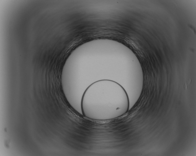 X0000091950237200709061046