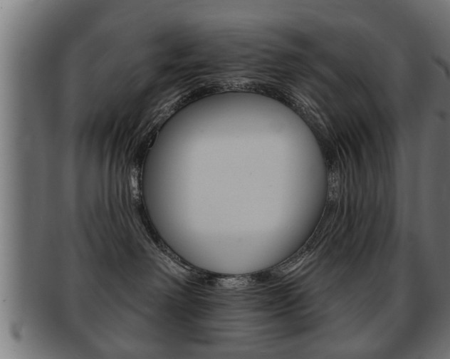 X0000091950238200709061046