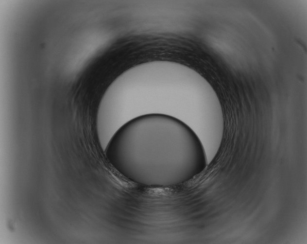 X0000091950239200709061046