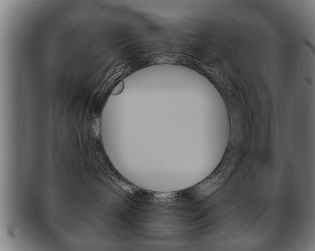 X0000091950240200709061046