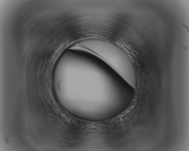 X0000091950241200709061045