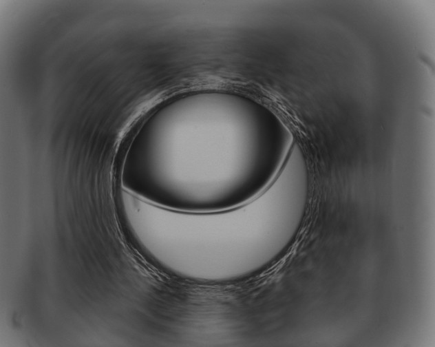 X0000091950244200709061045