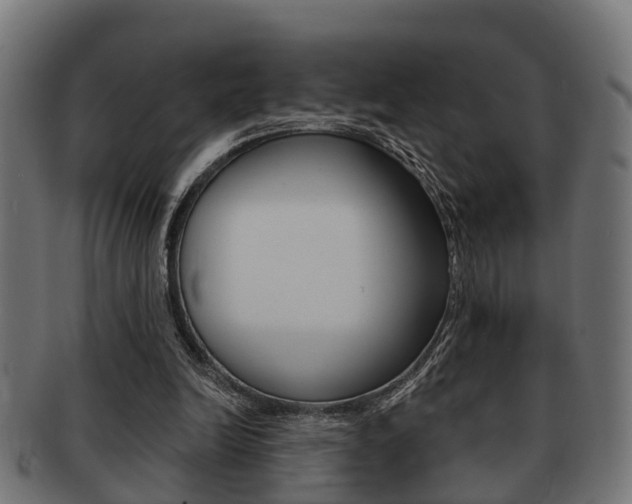 X0000091950246200709061045