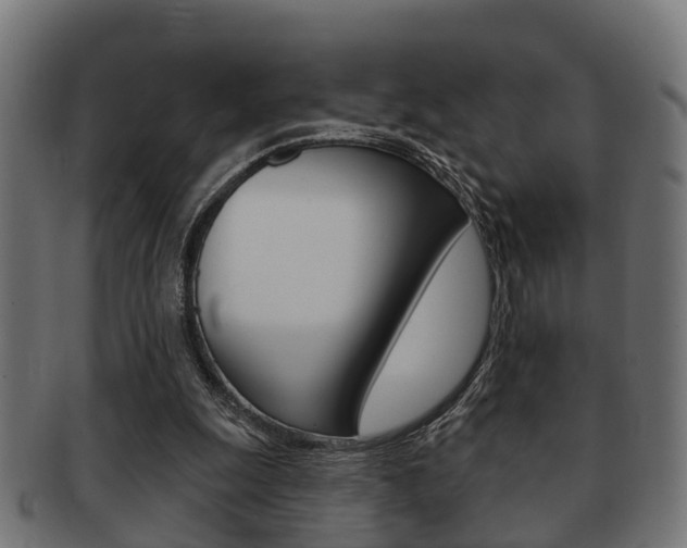 X0000091950247200709061045
