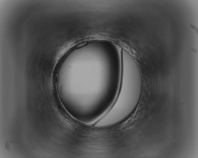 X0000091950248200709061045