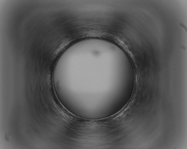 X0000091950249200709061045