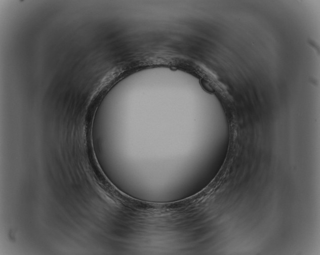 X0000091950250200709061045