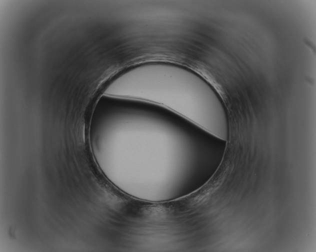 X0000091950253200709061045