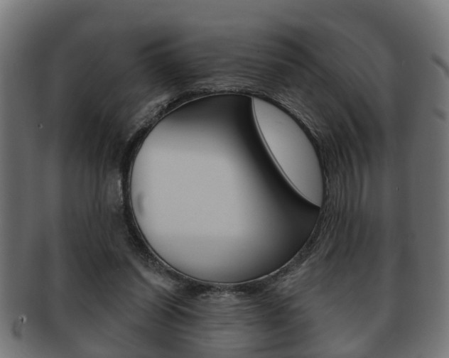 X0000091950254200709061045