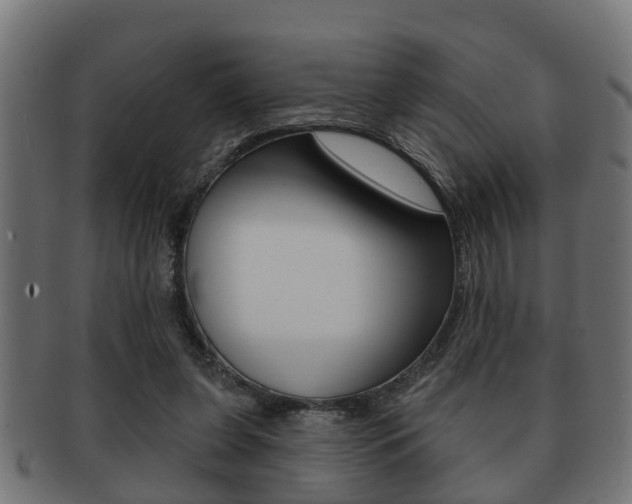 X0000091950255200709061045