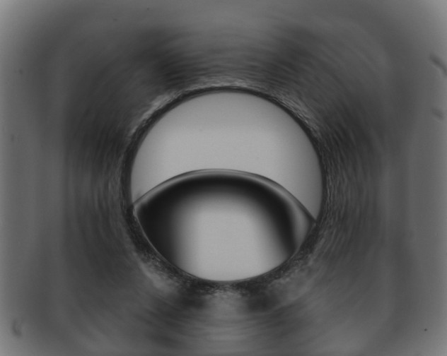 X0000091950256200709061045