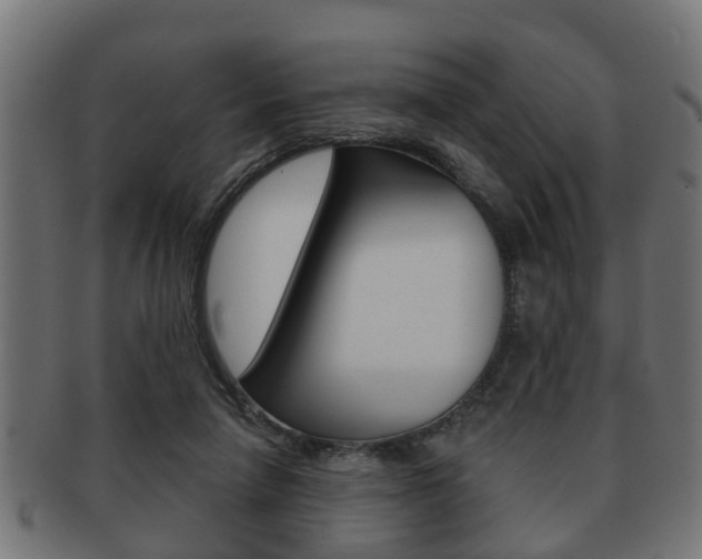 X0000091950258200709061045