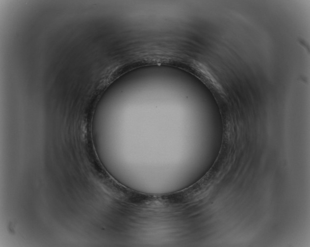 X0000091950259200709061045