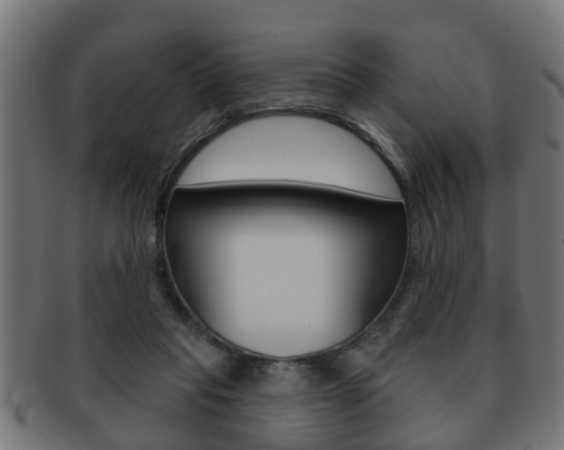 X0000091950261200709061045