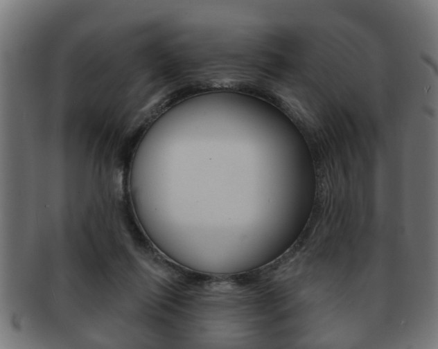 X0000091950262200709061045
