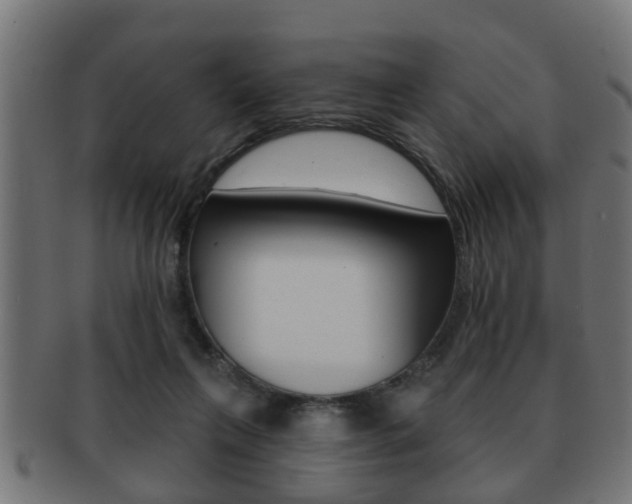 X0000091950263200709061045
