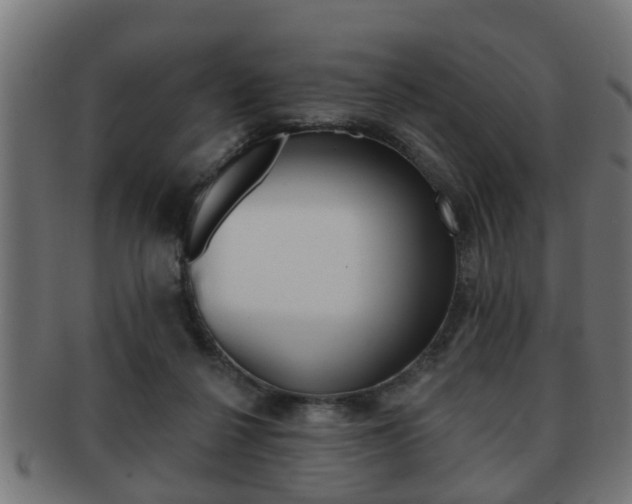 X0000091950264200709061045