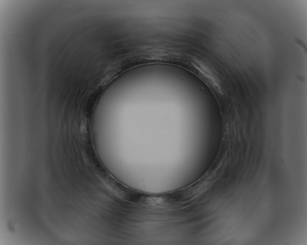 X0000091950265200709061045