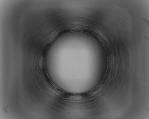 X0000091950266200709061045