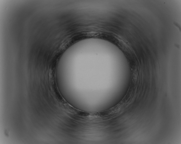 X0000091950270200709061046