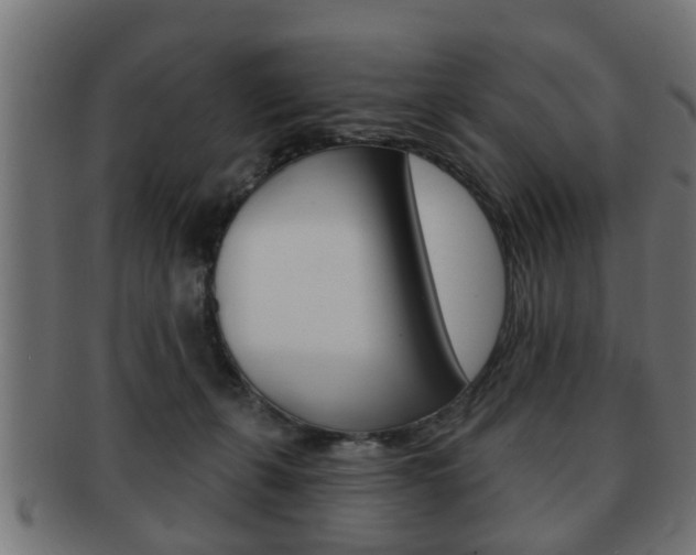X0000091950271200709061046