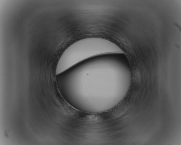 X0000091950272200709061046