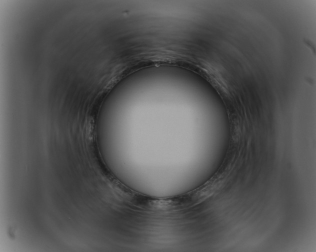 X0000091950273200709061046