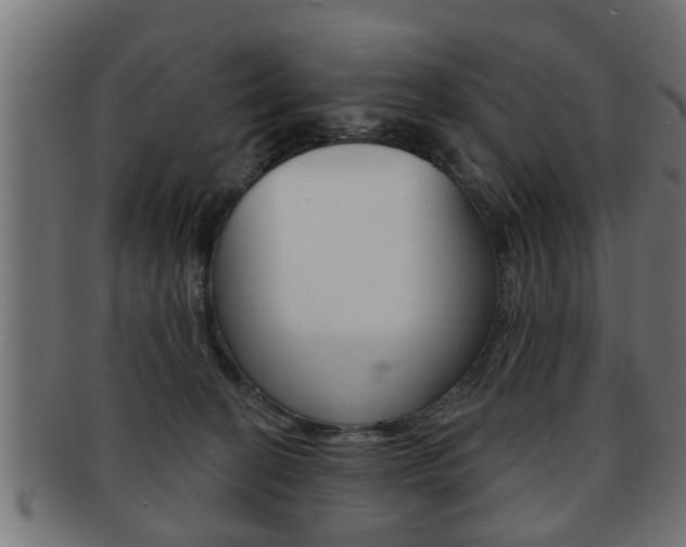 X0000091950274200709061046