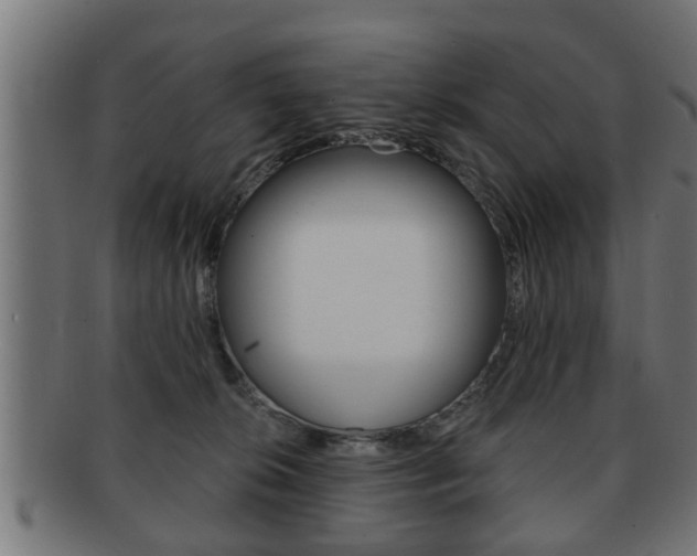 X0000091950276200709061046